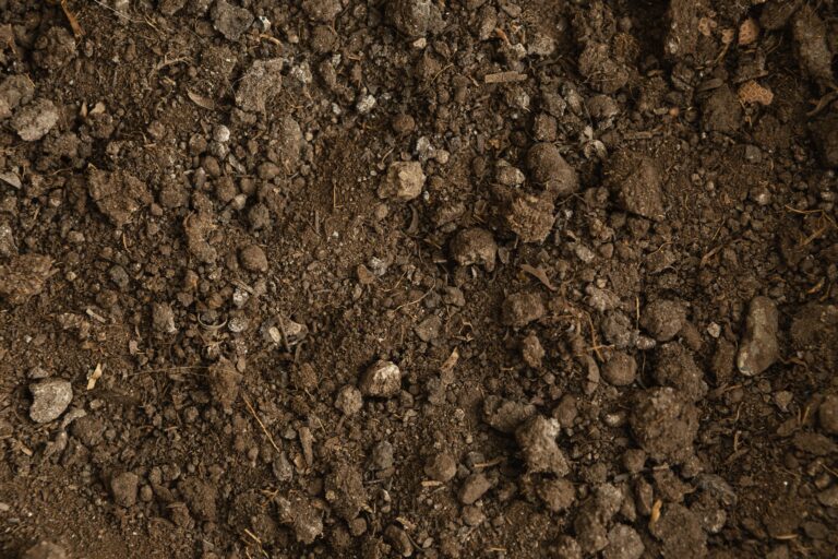 Geotechnical Soil Services Soil & Structure Consulting, Inc.